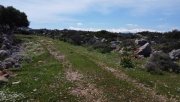 Kokkino Chorio Kreta, Kokkino Chorio: Malerisches Gelände mit Panoramablick aufs Meer zu verkaufen Grundstück kaufen